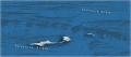 Thumbnail for version as of 23:57, 8 January 2018