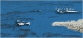 Thumbnail for version as of 23:26, 8 January 2018