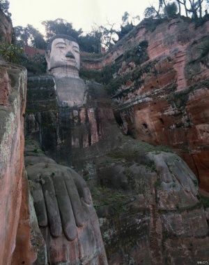 Virycana-Image1.jpg