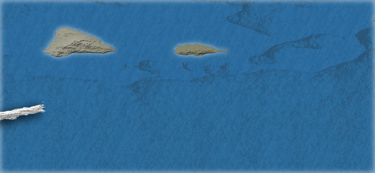 C005001.jpg