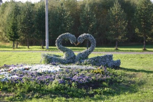Saressæa-Image2.jpg