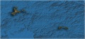 Thumbnail for version as of 01:12, 10 December 2017
